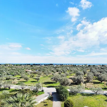 Апартаменты Olive Grove *
