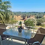 Olive Grove * Afantou