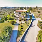 Olive Grove * Afantou