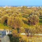 Appartement Olive Grove Afantou