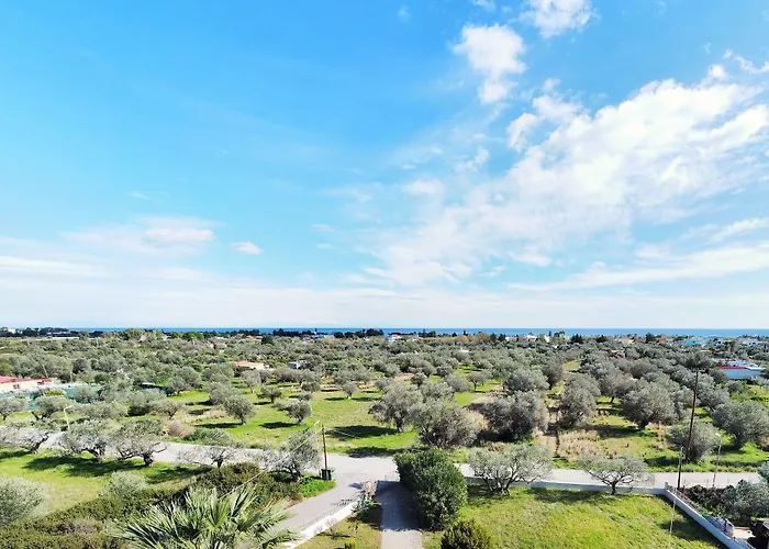 Apartmán Olive Grove *