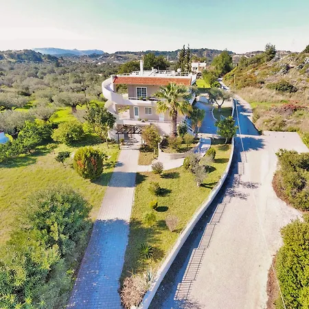 Olive Grove * Afantou