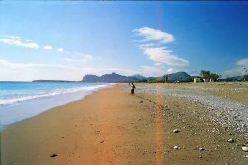 Olive Grove أفانتو