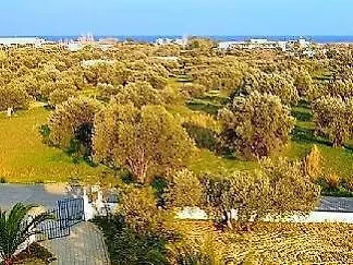 Lägenhet Olive Grove Afantou