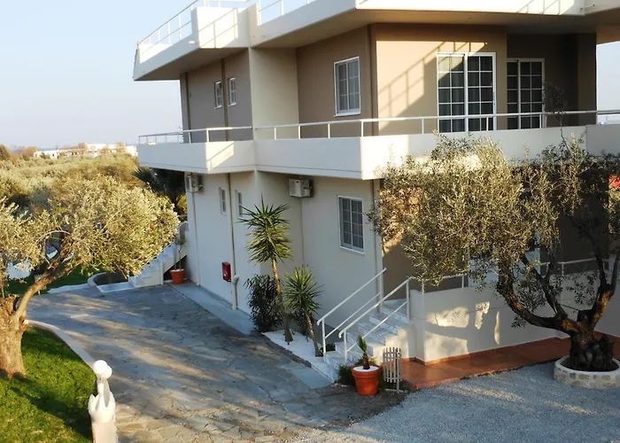 Olive Grove Afantou